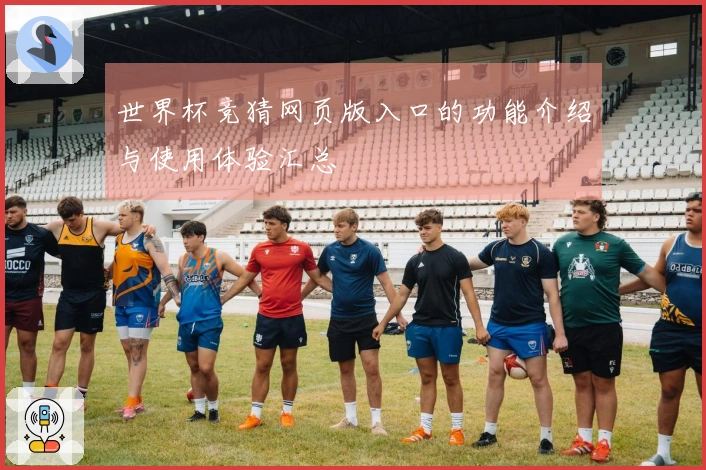 世界杯竞猜网页版入口的功能介绍与使用体验汇总