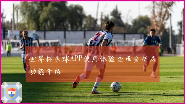 世界杯买球APP使用体验全面分析及功能介绍