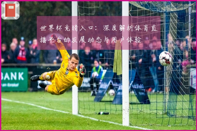 世界杯竞猜入口:深度解析体育直播平台的发展动态与用户体验