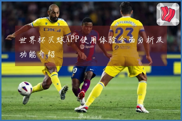 世界杯买球APP使用体验全面分析及功能介绍