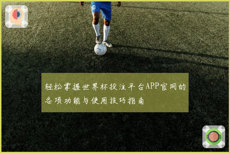轻松掌握世界杯投注平台APP官网的各项功能与使用技巧指南
