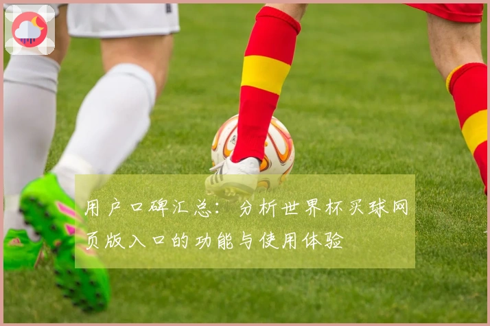 用户口碑汇总：分析世界杯买球网页版入口的功能与使用体验