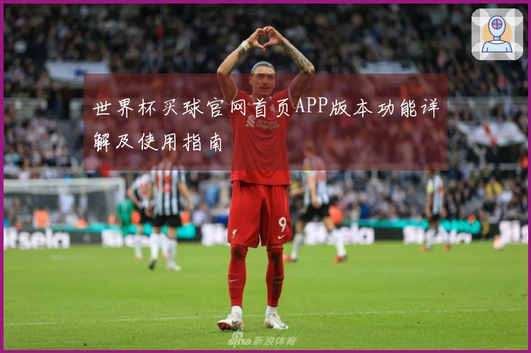 世界杯买球官网首页APP版本功能详解及使用指南