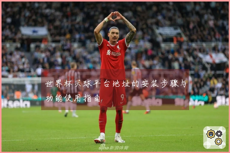 世界杯买球平台地址的安装步骤与功能使用指南