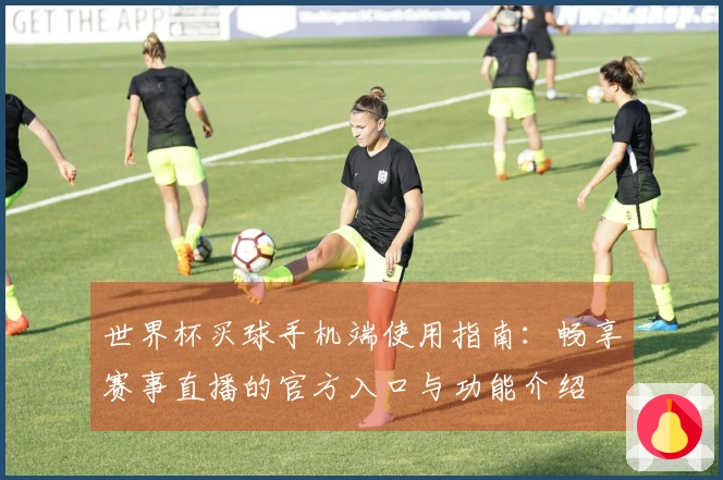 世界杯买球手机端使用指南：畅享赛事直播的官方入口与功能介绍