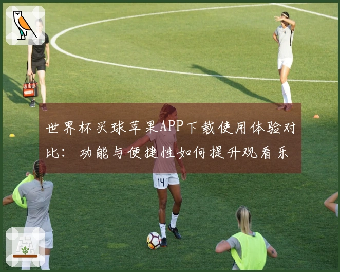 世界杯买球苹果APP下载使用体验对比：功能与便捷性如何提升观看乐趣